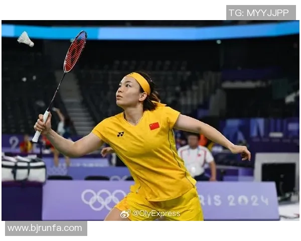 北京羽毛球队挑战赛背后的拼搏故事与奋斗精神全景揭秘