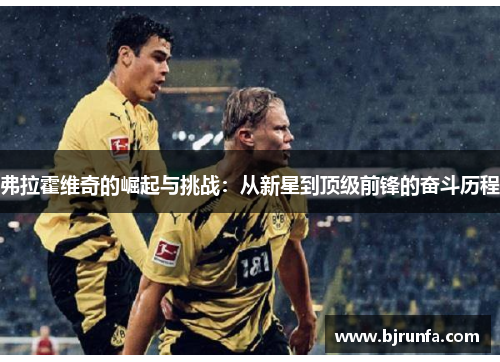 弗拉霍维奇的崛起与挑战：从新星到顶级前锋的奋斗历程